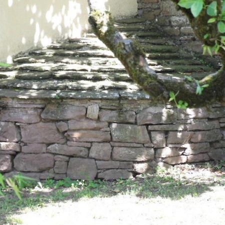 Villa Gite L'Oustal Occitan A Saint-Juery Extérieur photo